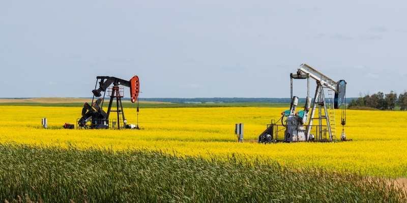 Executory Rights and Bonuses in Oil and Gas Law