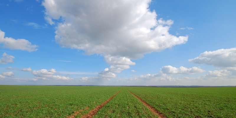 Divide an Undivided Interest in Property