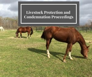 Livestock Protection and Condemnation Proceedings