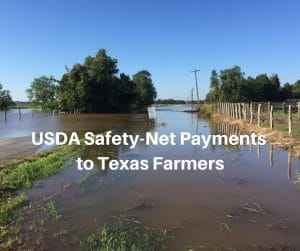 USDA Safety-Net Payments to Texas Farmers